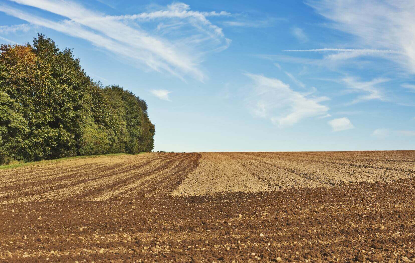 Plot for sale